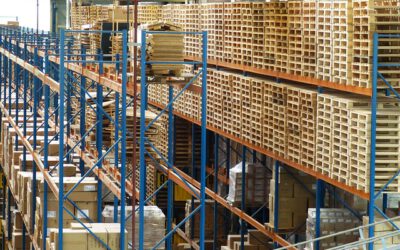 Entschärfung des Lieferkettengesetzes